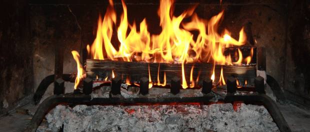 1614493_731988293492567_492284245_o